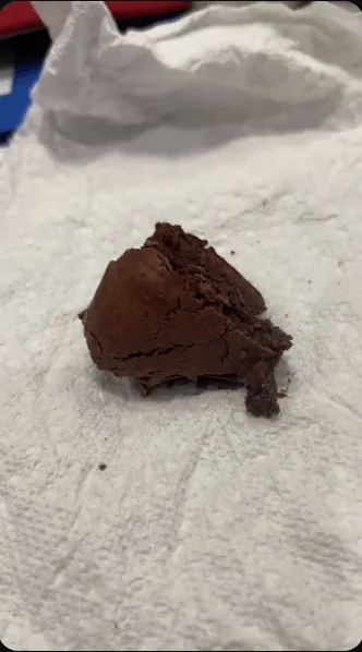 Sour Dough Brownies!